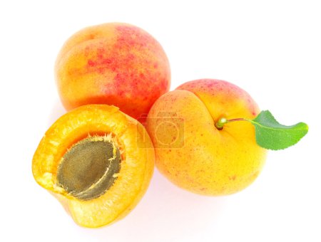 Abricots sur blanc 