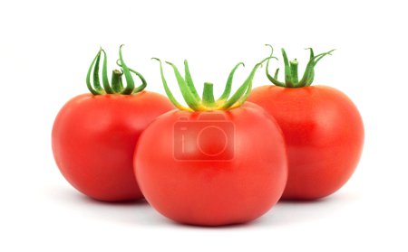 Tomates 