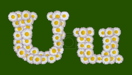 Lettre alphabétique faite de fleurs 