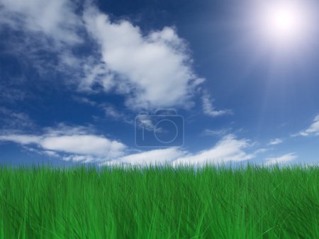 Herbe verte et ciel bleu