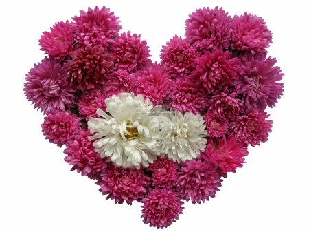 Coeur Floral 