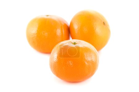 mandarines