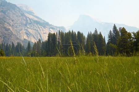 Vallée de Yosemite 