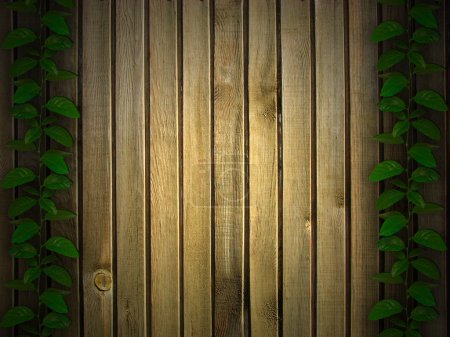 Magnifique fond à base de plantes et de bois 