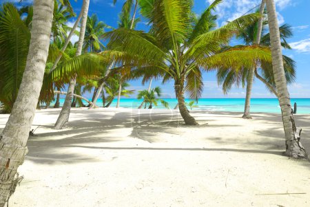 Plage des Caraïbes