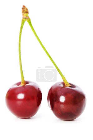 Cerises isolées sur le blanc 