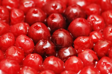 Baies rouges brillantes