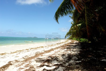 Plage des Seychelles. Île de Praslin .