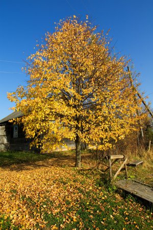 Automne dans le village russe 