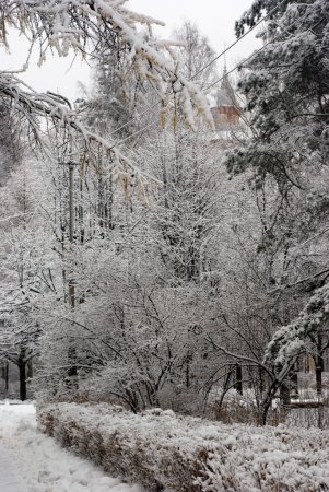 Parc municipal enneigé 