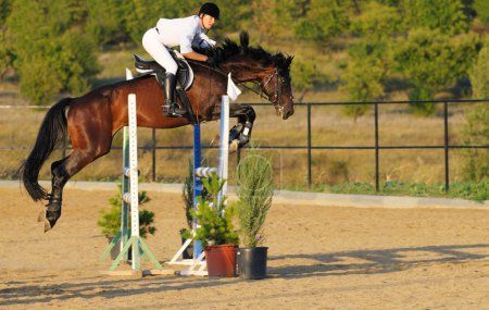 Cavalier dans le spectacle de saut 