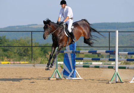 Cavalier dans le spectacle de saut 