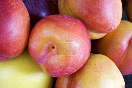 fruits