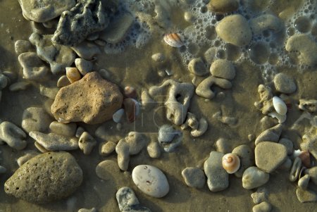 Pierres sur la côte maritime 