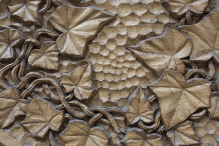 Texture bois