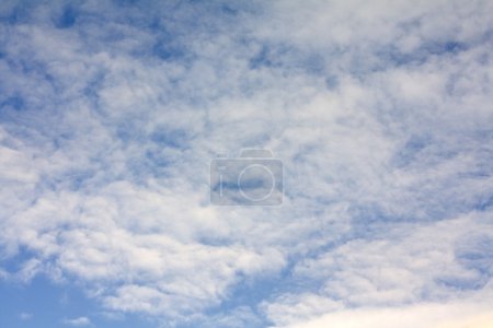 Ciel