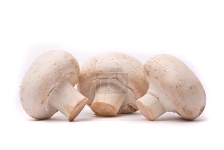 Champignons frais 