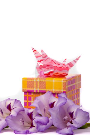 Superbe gladiole et coffret cadeau 