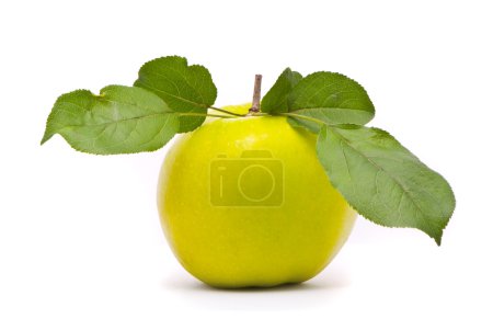 Pommes fraîches vertes avec feuilles 