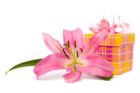 Lys rose et boîte cadeau sur un blanc 