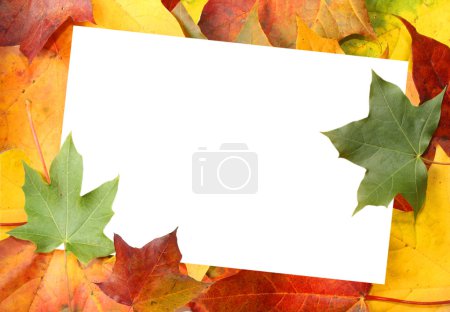 Feuille de papier sur fond de feuilles 