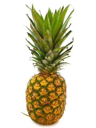 Ananas