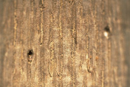 texture du mur 