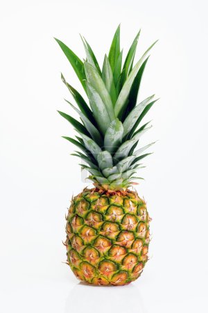 Ananas