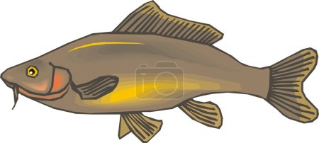 Beau vecteur de poisson 