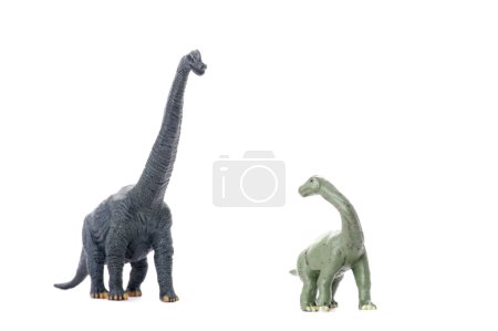 Deux dinosaures isolés sur blanc 