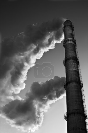 Tuyau d'usine 
