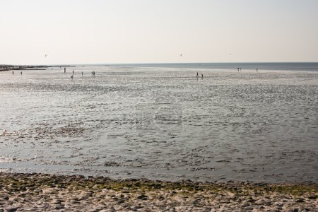 Mudflat à la mer du Nord 