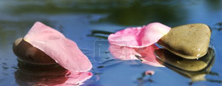 Feuille de rose sur l'eau courante 