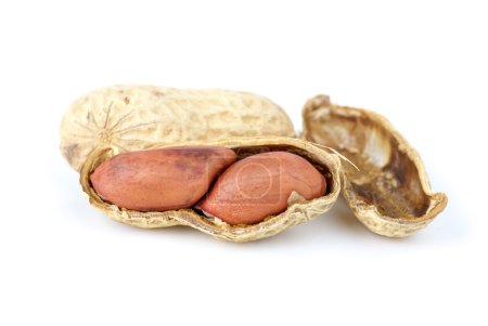 Gros plan sur les cacahuètes 