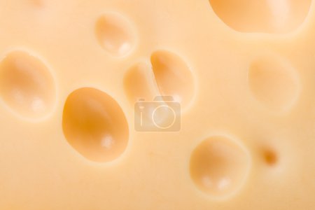 Gros plan fromage 