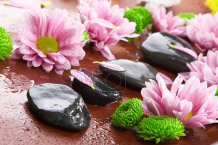 Spa nature morte 