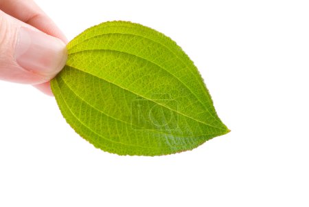 Concept de respect de l'environnement 