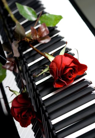 Piano avec rose trois 