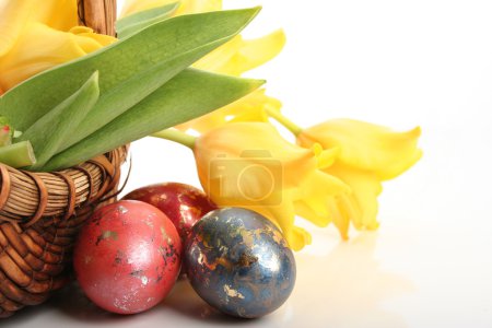 Œufs et tulipes dans l'herbe 