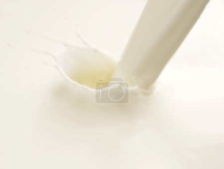 Lait