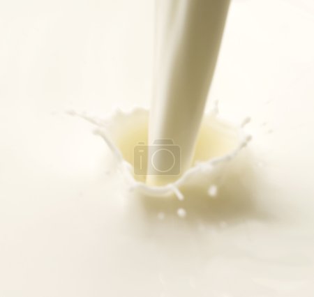 Lait
