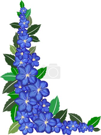 Cadre fleur bleu sur blanc 