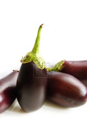 Aubergine isolée 