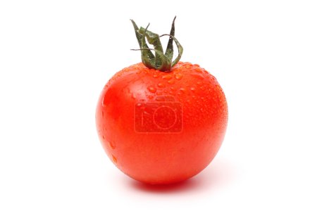 Tomate simple avec des gouttes 