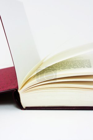 gros plan d'un livre