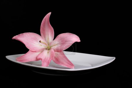 Lys rose sur assiette 