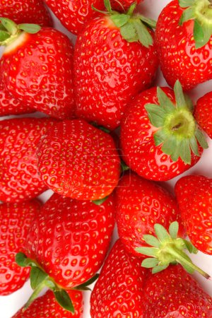 fraise rouge bg 