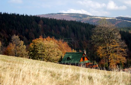 COTTAGE EN AUTOMNE 
