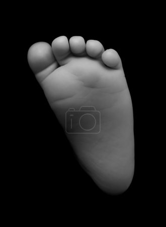 Petit pied de bébé 