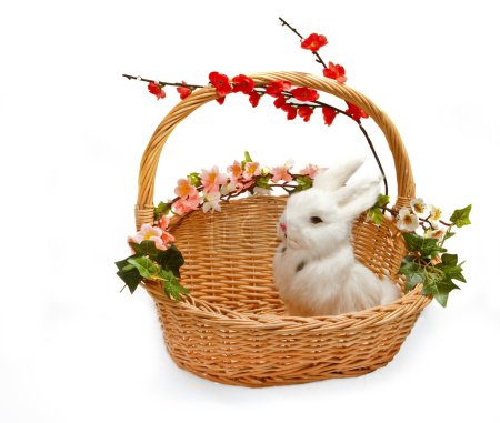 Petit lapin mignon dans le panier 